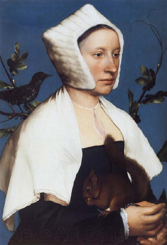 Hans holbein the younger Portrait of a Lady with a Squirrel and a Starling